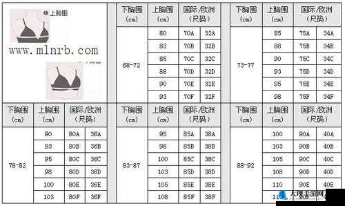 亚洲一码二码三码的区别：深入探究其在不同方面的具体表现与差异